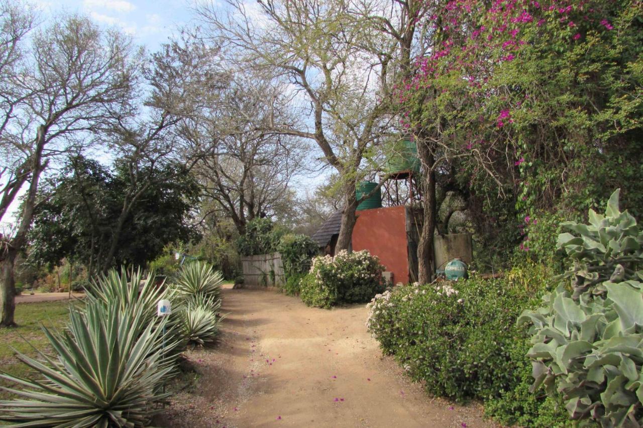 Amanzimlotzi Riverside Bush Camp Hoedspruit Luaran gambar