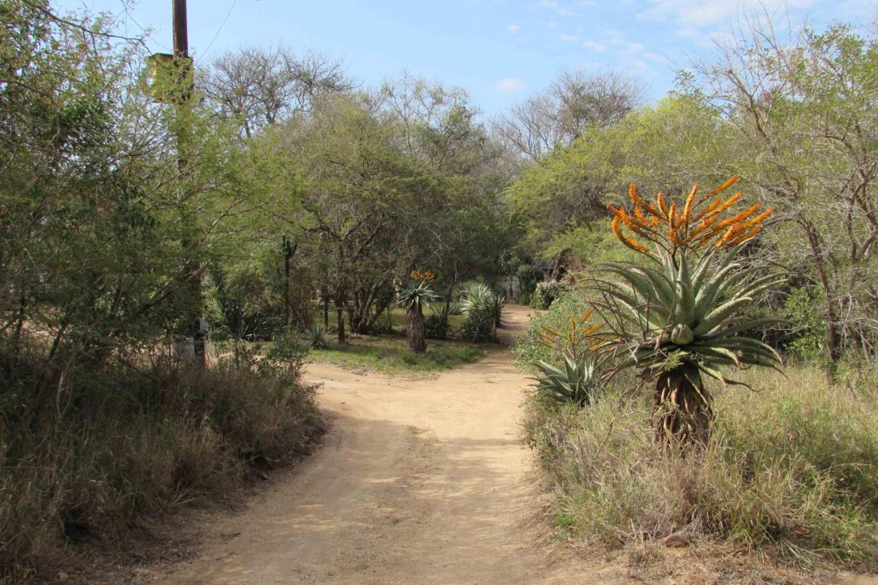 Amanzimlotzi Riverside Bush Camp Hoedspruit Luaran gambar
