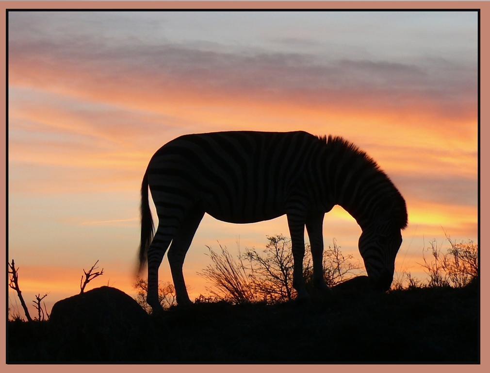 Amanzimlotzi Riverside Bush Camp Hoedspruit Luaran gambar