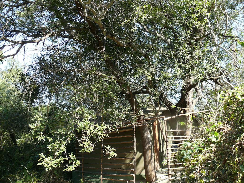 Amanzimlotzi Riverside Bush Camp Hoedspruit Bilik gambar