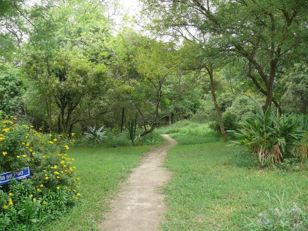 Amanzimlotzi Riverside Bush Camp Hoedspruit Bilik gambar