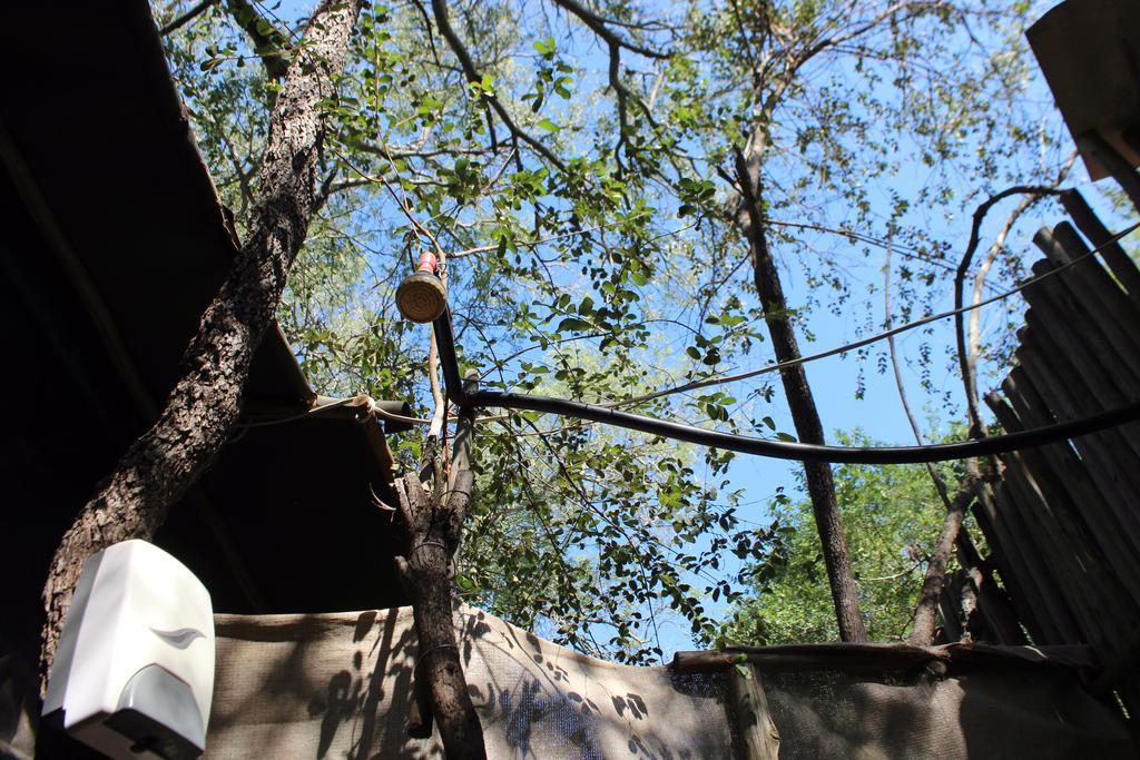 Amanzimlotzi Riverside Bush Camp Hoedspruit Luaran gambar