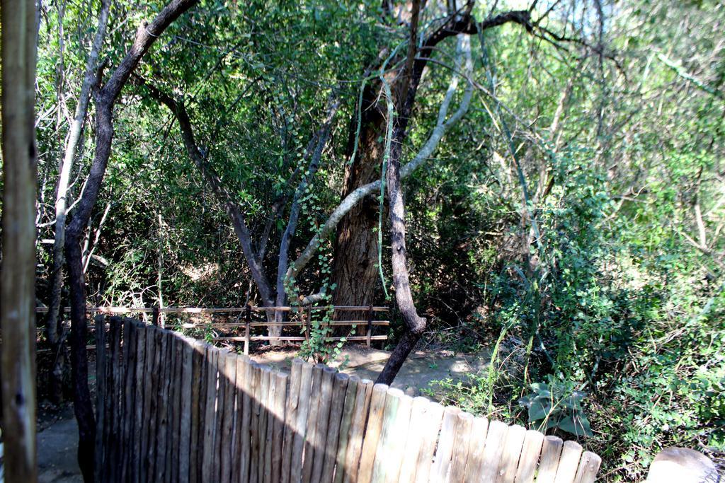 Amanzimlotzi Riverside Bush Camp Hoedspruit Luaran gambar