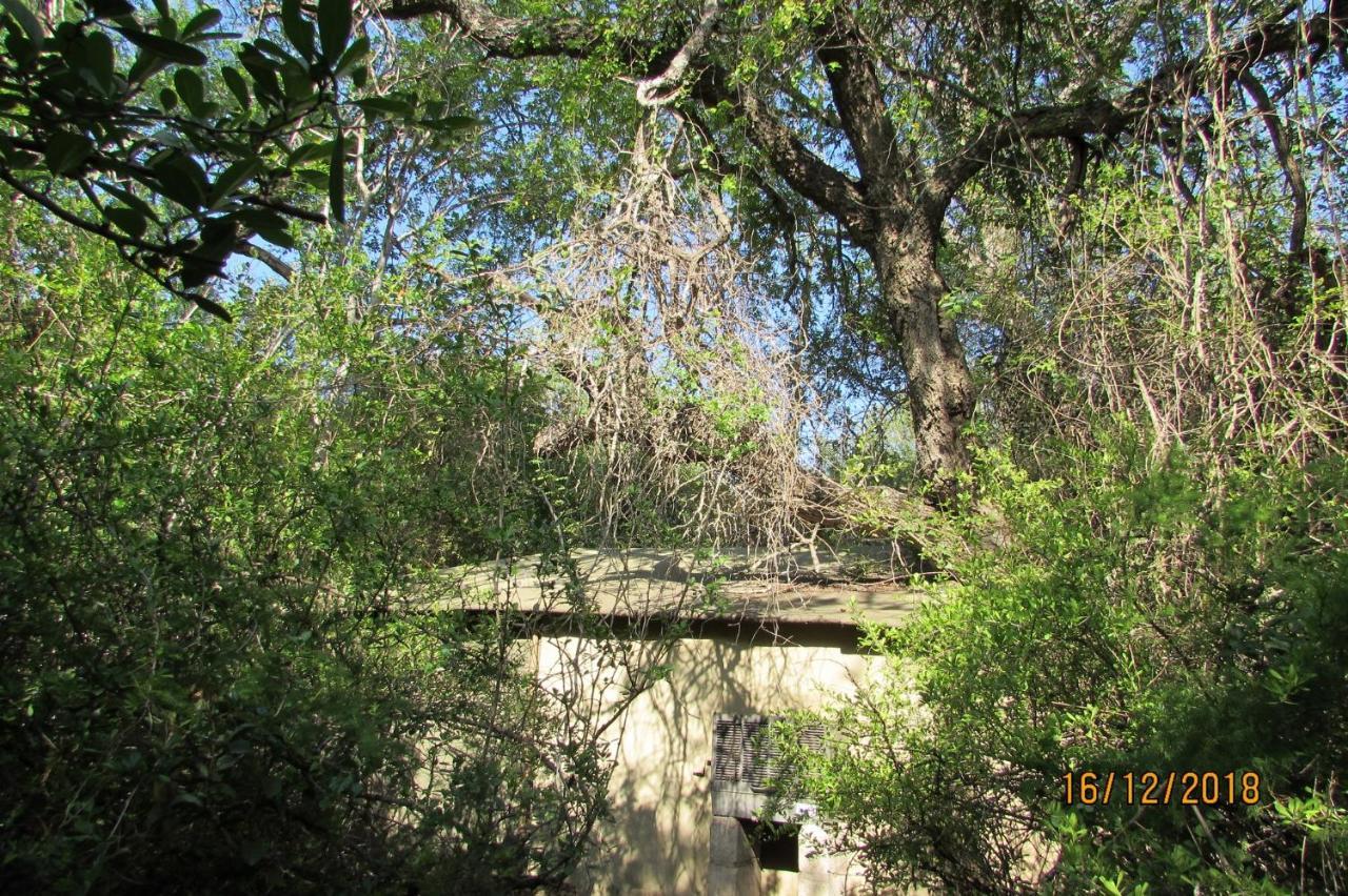 Amanzimlotzi Riverside Bush Camp Hoedspruit Luaran gambar