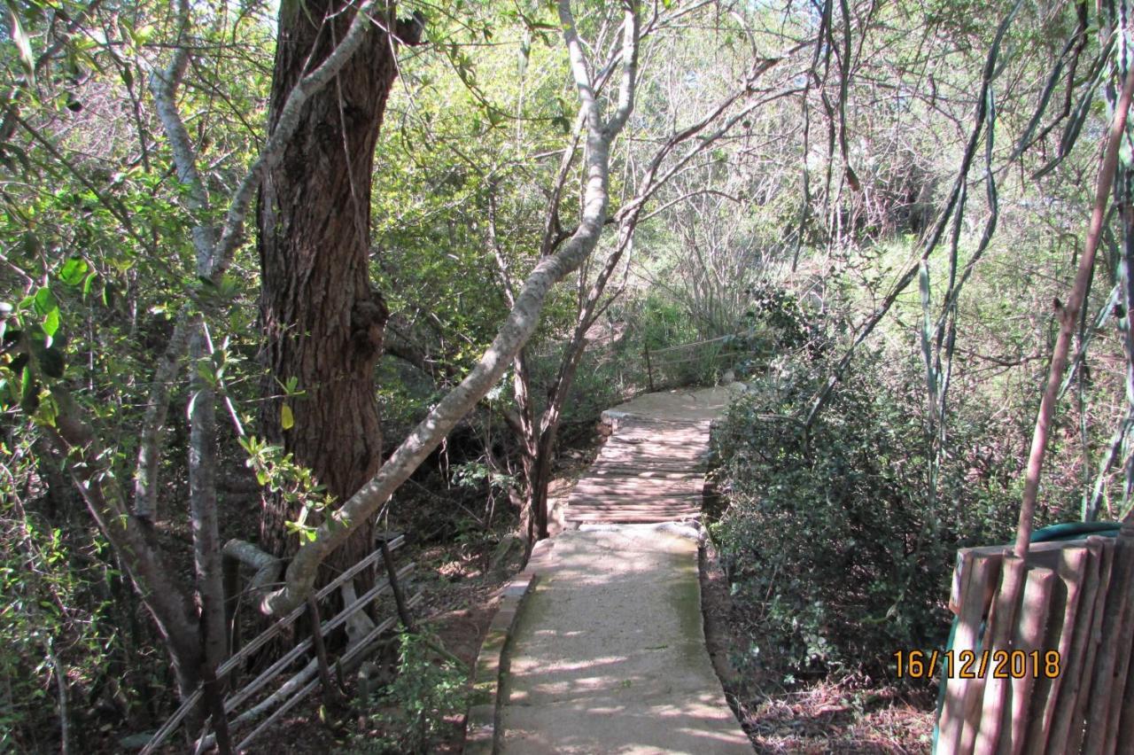 Amanzimlotzi Riverside Bush Camp Hoedspruit Luaran gambar