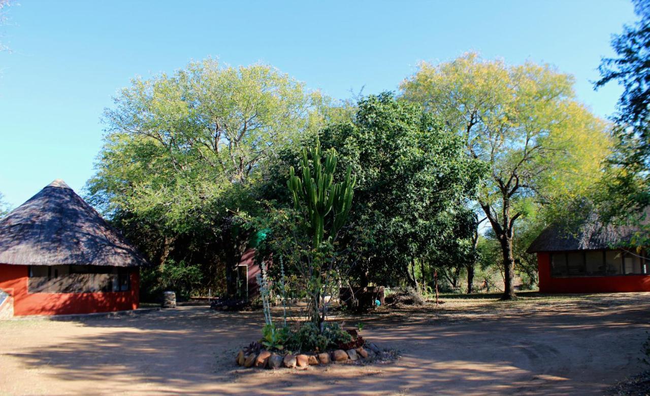 Amanzimlotzi Riverside Bush Camp Hoedspruit Luaran gambar